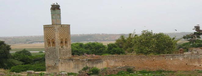 إطلالة على الحضارة المرينية (3).. فن البناء والزخرفة عند المرينيين
