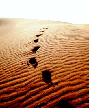 الهجرة وانبثاق المشروع المجتمعي الإسلامي