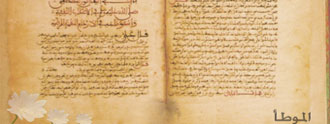 دلائل أخرى من اهتمام النساء المحدثات بالموطـأ