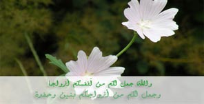 مكانة المرأة في الإسلام