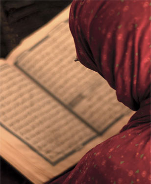عذرا سيدتي..!!