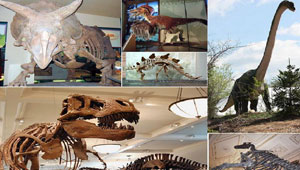 اكتشاف أضخم ديناصور عاش في أوروبا أثناء العصر الجوارسي