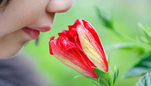 علماء: أنف الإنسان قادر على تمييز تريليون رائحة