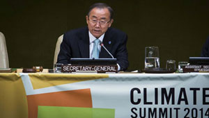 قمة الأمم المتحدة للمناخ تضع أهدافا لإنقاذ الغابات واستخدام الطاقة النظيفة