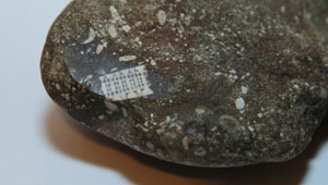 روسيا.. اكتشاف حجر فيه شريحة عمرها 250 مليون سنة