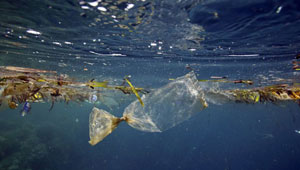 مياه المحيطات بها 269 ألف طن من نفايات البلاستيك