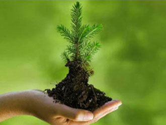 البيئة والحاجة إلى التربية…